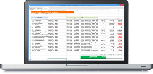 Auswertungen in Excel